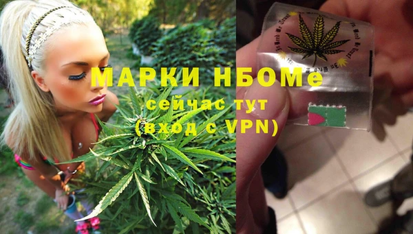 PSILOCYBIN Зеленодольск