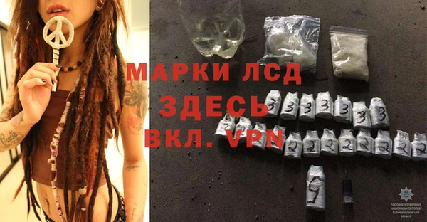 ГАЛЛЮЦИНОГЕННЫЕ ГРИБЫ Гусев