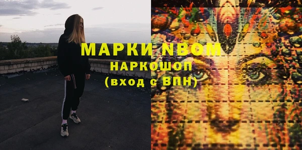 ГАЛЛЮЦИНОГЕННЫЕ ГРИБЫ Гусев