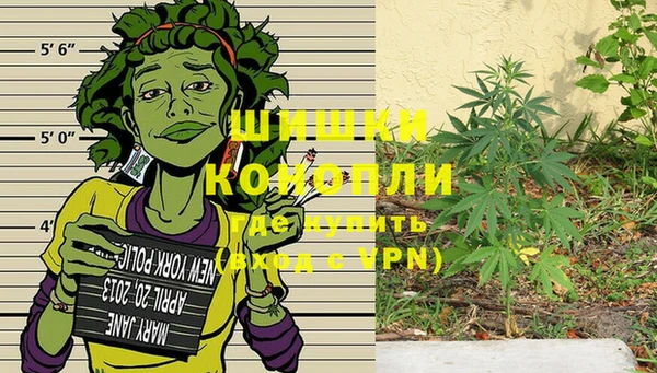ГАЛЛЮЦИНОГЕННЫЕ ГРИБЫ Гусев