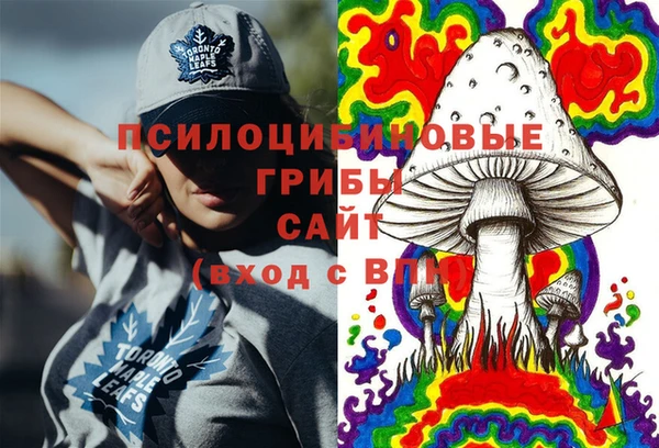 PSILOCYBIN Зеленодольск