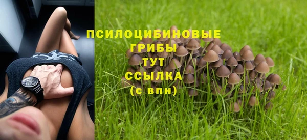 крисы Гусь-Хрустальный