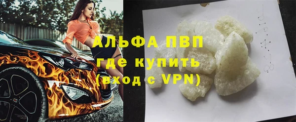 ГАЛЛЮЦИНОГЕННЫЕ ГРИБЫ Гусев