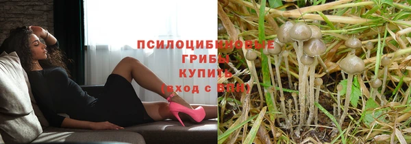 мескалин Гусиноозёрск