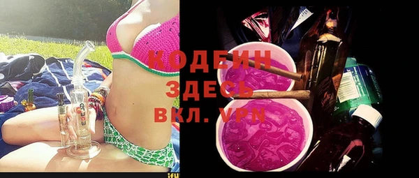 ГАЛЛЮЦИНОГЕННЫЕ ГРИБЫ Гусев