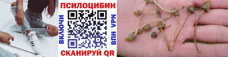 ссылка на мегу сайт Духовщина Псилоцибиновые грибы мицелий